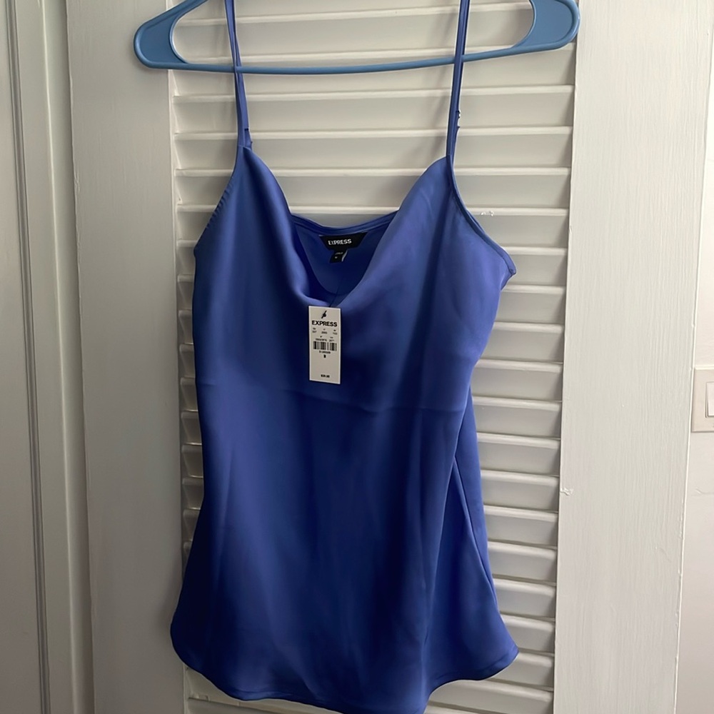 Express  dressy tank top (pretty color - purplish blue)